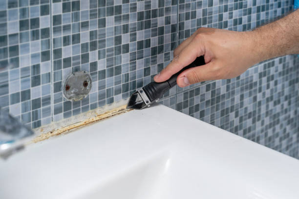 Best Mold Removal Specialists  in Indian River, MI