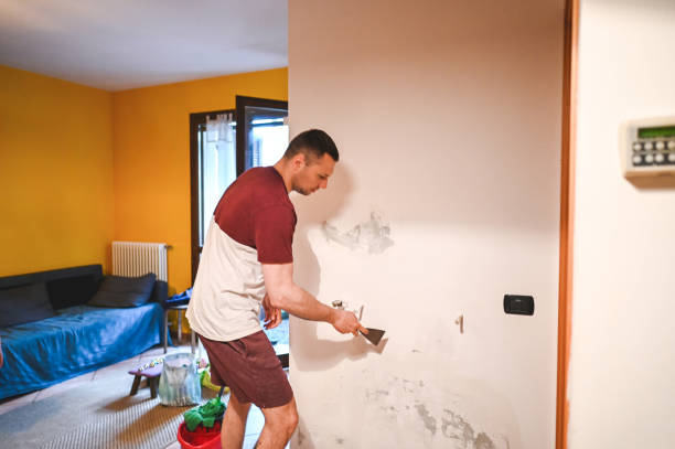 Mold Removal and Inspection in Indian River, MI